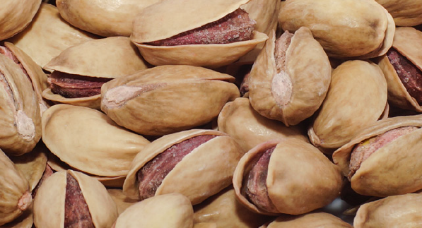 Fıstıkcım Nuts