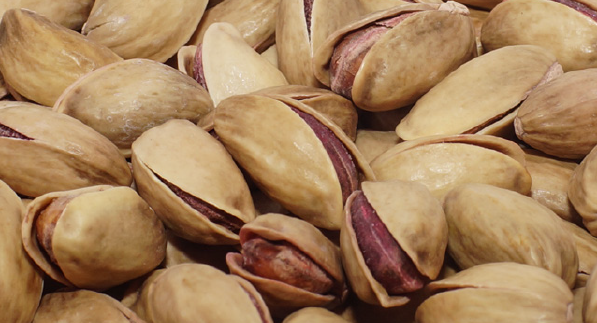 Fıstıkcım Nuts