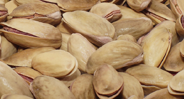 Fıstıkcım Nuts